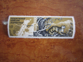 СРСР - СССР - ^/--/^ СССР.1967. 14 ДЕКАБРЯ.  ЗАПОВЕДНИК  "КЕДРОВАЯ ПАДЬ "  ** ^_^^^ СРСР. 1967. 14 грудня. ЗАПОВЕДНИК "КЕДРОВА ПАДЬ " ** - фото фото фото