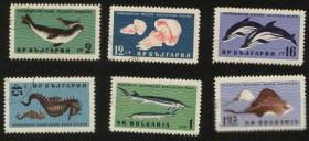 Балканський півострів Балканский полуостров ^/--/^ Болгария 1961 г № 1230‑1235 серия гашеная ^_^^^ Болгарія 1961 р No 1230-1235 серія гашена - фото фото фото