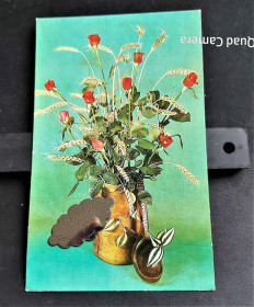 СРСР СССР ^/--/^ PK 1978 г. Открытка СССР вставка &amp;quot;Дорогой жене&amp;quot;. ^_^^^ PK 1978 р. Листівка СРСР вставка &amp;quot; Дорогій дружині &amp;quot; - фото фото фото