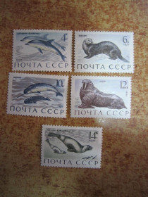 СРСР - СССР - ^/--/^ СССР 1971 Г. &amp;quot; МЛЕКОПИТАЮЩИЕ - ОБИТАТЕЛИ МОРЕЙ И ОКЕАНОВ &amp;quot;. ^_^^^ СРСР 1971 Г. &amp;quot; МЛЕКОПІТНІ - ОБИТАТЕЛИ МОРЕЙ І ОКЕАНОВ &amp;quot; - фото фото фото