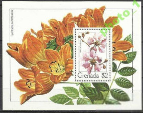 Острівні держави Островные государства ^/--/^ Гренада 1979 флора бл. - фото фото фото