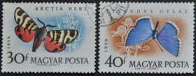 Інше Другое ^/--/^ Венгрия Фауна Бабочки 1959 ^_^^^ Угорщина Фауна Бабочки 1959 - фото фото фото
