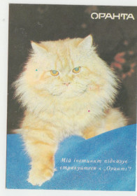 Календарі Календари ^/--/^ Календарик карманный Оранта 1993 ^_^^^ Календарик кишеньковий Оранта 1993 - фото фото фото