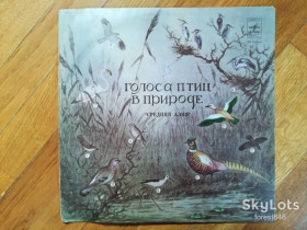 Платівки Пластинки ^/--/^ Голоса птиц в природе-Средняя Азия  (5)-VG+, Мелодия ^_^^^ Голоси птахів у природі-Середня Азія (5)-VG+, Мелодія - фото фото фото