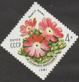 СРСР - СССР - ^/--/^ СССР 1981 флора ^_^^^ СРСР 1981 флора - фото фото фото