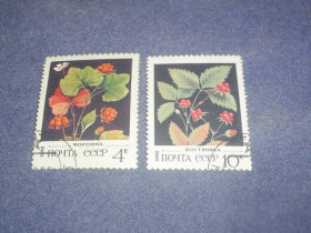 Флора Флора ^/--/^ СССР-1982 г.-Морошка и костяника ^_^^^ СРСР-1982 р.-Морошка і кістяника - фото фото фото