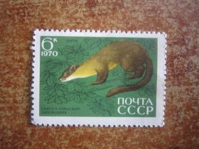 СРСР - СССР - ^/--/^ СССР. 1970. 19 АВГУСТА.  35 ЛЕТ СИХОТЕ- АЛИНСКОМУ ГОСУДАРСТВЕННОМУ  ЗАПОВЕДНИКУ  ** № 3837 ^_^^^ СРСР. 1970. 19 серпня. 35 років Сихоте-Алінському державному заповіднику ** No 3837 - фото фото фото