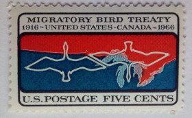 Північна Америка Северная Америка ^/--/^ США 1966 Миграция птиц, MNH ^_^^^ 1966 — Міграція птахів, MNH - фото фото фото