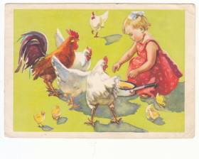 СРСР СССР ^/--/^ Девочка с курами 1960 Рязанова Р /--/ 12 - фото фото фото