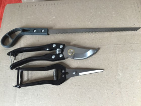 Секатори, сучкорізи, ножиці Секаторы, сучкорезы, ножницы ^/--/^ Секаторы Садовые и пилочка ^_^^^ Секатори Садові і пилочка - фото фото фото