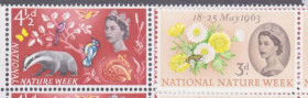 Великобританія Великобритания ^/--/^ Великобритания 1963 ПЧЕЛА ПЕВЧАЯ ПТИЦА БАРСУК ОРНИТОЛОГИЯ ФАУНА ФЛОРА ЦВЕТЫ РОМАШКИ Mi.357-358**MNH ^_^^^ Великобританія 1963 Бджола співуча Птахи Барсук Орнітологія ФАУНА ФЛОРА ЦВЕТИ РОМАШКИ Mi.357-358**MNH - фото фото фото