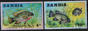 Інше Другое ^/--/^ Замбия Фауна Рыбы 1971 ^_^^^ Замбія Фауна Риби 1971 - фото фото фото