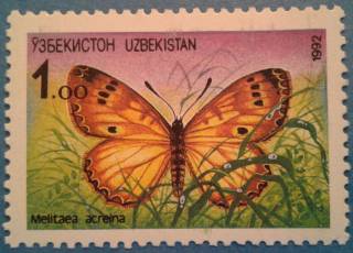 Фауна Фауна ^/--/^ Узбекистан 1992 фауна бабочка насекомые Mi 2 MNH совместная серия ^_^^^ Узбекистан 1992 фауна метелика комахи Mi 2 MNH спільна серія - фото фото фото