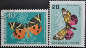 Інше Другое ^/--/^ Венгрия Фауна Бабочки ^_^^^ Угорщина Фауна Бабочки - фото фото фото