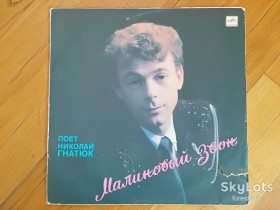 Платівки Пластинки ^/--/^ Николай Гнатюк-Малиновый звон  (8)-VG, Мелодія ^_^^^ Николай Гнатюк-Малиновый звон (8)-VG, Мелодия - фото фото фото