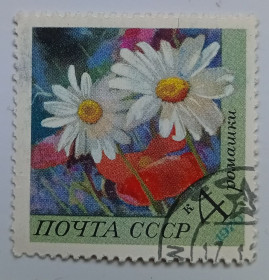 СРСР - СССР - ^/--/^ СССР 1970 Ромашки, цветы, гашеная ^_^^^ СРСР 1970 Ромашки, квіти, гашена - фото фото фото
