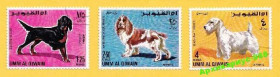 ОАЕ ОАЭ ^/--/^ ОАЭ 1967 СОБАКИ Животные Фауна Природа Гашен. 3 /--/ м. ^_^^^ ОАЕ 1967 СОБАКИ Тварини Фауна Природа Гашен. 3 /--/ м. - фото фото фото