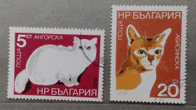 Фауна Фауна ^/--/^ Болгария 1983 г - кошки, гаш ^_^^^ Болгарія 1983 — кішки, гаш - фото фото фото