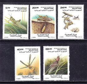 Фауна Фауна ^/--/^ Мавритания 1988 г MNH - насекомые - ^_^^^ Мавританія 1988 MNH — комахи - фото фото фото