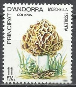 Інші країни Другие страны ^/--/^ Андорра испан. 1984 грибы 1 /--/ м. ^_^^^ Андорра іспан. 1984 гриби 1 /--/ м. - фото фото фото