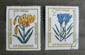 Флора Флора ^/--/^ Болгарія, Квїти, 2 марки з серії, гашен. ^_^^^ Болгария, Квиты, 2 марки из серии, гашен. - фото фото фото