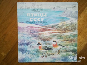 Платівки Пластинки ^/--/^ Птицы СССР-Определитель по голосам  (гагары, кулики)  (3)-Ex.-Мелодия ^_^^^ Птахи СРСР-Визначник за голосами (гагари, кулики) (3)-Ex.-Мелодія - фото фото фото