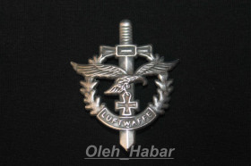 Копії медалей і знаків Копии медалей и знаков ^/--/^ Значок Luftwaffe Орел Меч   (копія)   (1316) ^_^^^ Значок Luftwaffe Орел Меч (копия) (1316) - фото фото фото