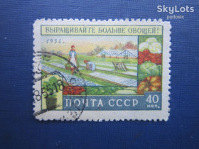 СРСР - СССР - ^/--/^ Марка СССР 1954 сельское хозяйство овощеводство гаш ^_^^^ Марка СРСР 1954 сільське господарство овочівництво гаш - фото фото фото