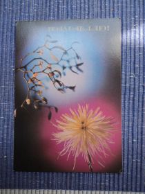 СРСР СССР ^/--/^ Поздравляю. Цветы. Композиция. СССР 1986 /--/ г. ^_^^^ Вітаємо. Квіти. Композиція. СРСР 1986 /--/ р. - фото фото фото