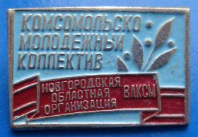 Знаки товариств і організацій Знаки обществ и организаций ^/--/^ Новгородская областная организация ВЛКСМ ^_^^^ Новгородська обласна організація ВЛКСМ - фото фото фото