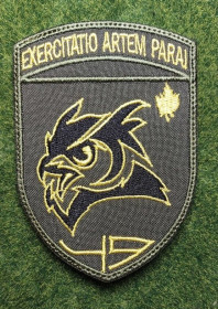 Інше Другое ^/--/^ Шеврон 49 Навчальний центр розвідки № 3190 ^_^^^ Шеврон 49 Учебный центр разведки No 3190 - фото фото фото