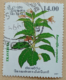 Флора Флора ^/--/^ Шри Ланка 1997 г - Лекарственные растения. Раувольфия змеиная  (Rauvolfia serpentina), гаш ^_^^^ Шрі Ланка 1997 р - Лікарські рослини. Раувольфія зміїна (Rauvolfia serpentina), гаш - фото фото фото