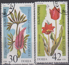Флора Флора ^/--/^ Болгария Болгарія 1989 флора цветы ^_^^^ Болгария Болгария 1989 флора цветы - фото фото фото