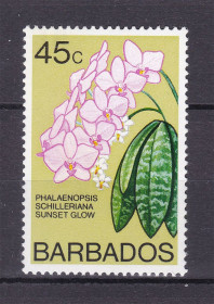Флора Флора ^/--/^ Фора .  Барбадос 1974 г  MNH - ^_^^^ Барбадос 1974 MNH - фото фото фото