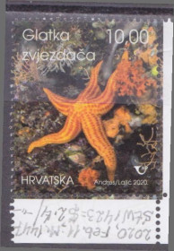Балканський півострів Балканский полуостров ^/--/^ Хорватия 2020 ПОДВОДНЫЙ МИР МОРСКАЯ ЗВЕЗДА МОРСКИЕ ОБИТАТЕЛИ ИХТИОЛОГИЯ Сер.1 /--/ м** Mi.1447 MNH EUR 3.0 ^_^^^ Хорватія 2020 ПІДВОДНИЙ СВІТ МОРСЬКА ЗВІЗДА МОРСЬКІ ОБИТАЛИ ІХТІОЛОГІЯ Сер.1 /--/ М** Mi.1447 MNH EUR 3.0 - фото фото фото