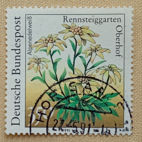 Флора Флора ^/--/^ Германия 1991 г - Растения в Реннштайггартене, Оберхоф. Эдельвейс, гаш ^_^^^ Німеччина 1991 - Рослини в Реннштайггартені, Оберхоф. Едельвейс, гаш - фото фото фото