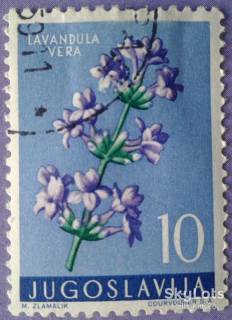 Флора Флора ^/--/^ Югославия 1959 флора цветы Mi 882 ^_^^^ Югославія 1959 флора квіти Mi 882 - фото фото фото