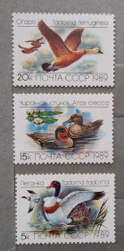 Фауна Фауна ^/--/^ СССР 1989 г - Утки, негаш ^_^^^ СРСР 1989 р. Утки, негаш - фото фото фото
