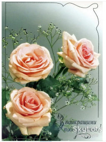 Україна Украина ^/--/^ Украина 2004 флора цветы ХМПК 234 Зак. 3-3831 ^_^^^ Україна 2004 флора квіти ХМПК 234 Зак. 3-3831 - фото фото фото