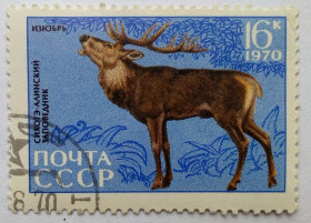 СРСР - СССР - ^/--/^ СССР 1970 Заповедник Сихотэ-Алинский, 16 /--/ к., гашеная ^_^^^ СРСР 1970 Заповідник Сіхоте-Алинський, 16 /--/ к., гашена - фото фото фото