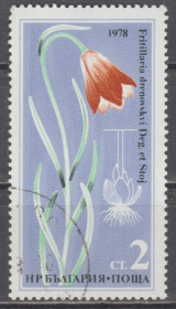 Флора Флора ^/--/^ Болгария Болгарія 1978 флора цветы ^_^^^ Болгария Болгария 1978 флора цветы - фото фото фото
