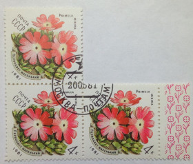 СРСР - СССР - ^/--/^ СССР 1981 Цветы украинских Карпат, первоцвет, угловая сцепка с полем, гашеная ^_^^^ СРСР 1981 Квіти українських Карпат, первоцвіт, кутовий зчіпка з полем, гашена - фото фото фото