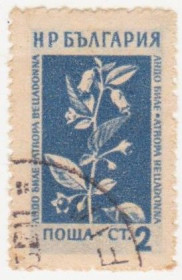 Балканський півострів Балканский полуостров ^/--/^ Болгария 1953 г № 862 гашеная ^_^^^ Болгарія 1953 р. No 862 гашена - фото фото фото