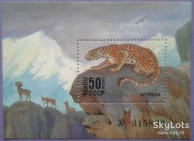 СРСР - СССР - ^/--/^ СССР 1985 фауна Средней Азии СК блок 188 MNH ^_^^^ СРСР 1985 фауна Середньої Азії СК блок 188 MNH - фото фото фото