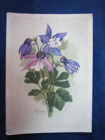 СРСР СССР ^/--/^ ОРЛИК ЛИМПИЙСКИЙ. ХУД. И. РОМАНОВ 1962 Г ^_^^^ Орлик Лімпійський. Худ. Романов 1962 - фото фото фото