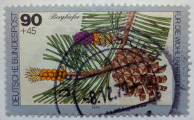 НДР, ФРН ГДР, ФРГ ^/--/^ Германия 1979 Шишки, гашеная ^_^^^ Німеччина 1979 Шишки, гашена - фото фото фото