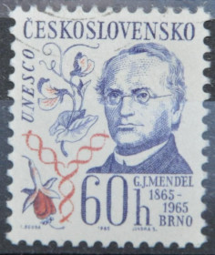 Інше Другое ^/--/^ Чехословакия Мендель 100 лет со дня изучения наследственности 1965 ^_^^^ Чехословаччина Мендель 100 років з дня вивчення спадковості 1965 - фото фото фото
