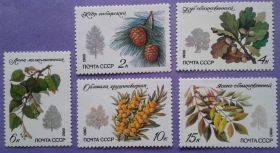 СРСР - СССР - ^/--/^ СССР 1980 флора деревья СК 5052-5056 MNH ^_^^^ СРСР 1980 флора дерева СК 5052-5056 MNH - фото фото фото