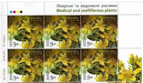Після  року После  года ^/--/^ Лекарственные и медоносные растения. Зверобой 2018 верх м.листа ^_^^^ Лікарські та медоносні рослини. Зверобий 2018 верх м.листа - фото фото фото