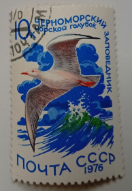 СРСР - СССР - ^/--/^ СССР 1976 Водоплавающие птицы, морской голубок, гашеная (I) ^_^^^ СРСР 1976 Водоплавні птахи, морський голубок, гашена (I) - фото фото фото